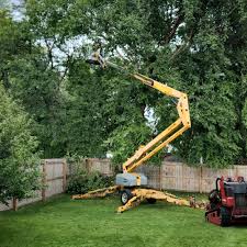 Artificial Turf Installation in Durham, CA